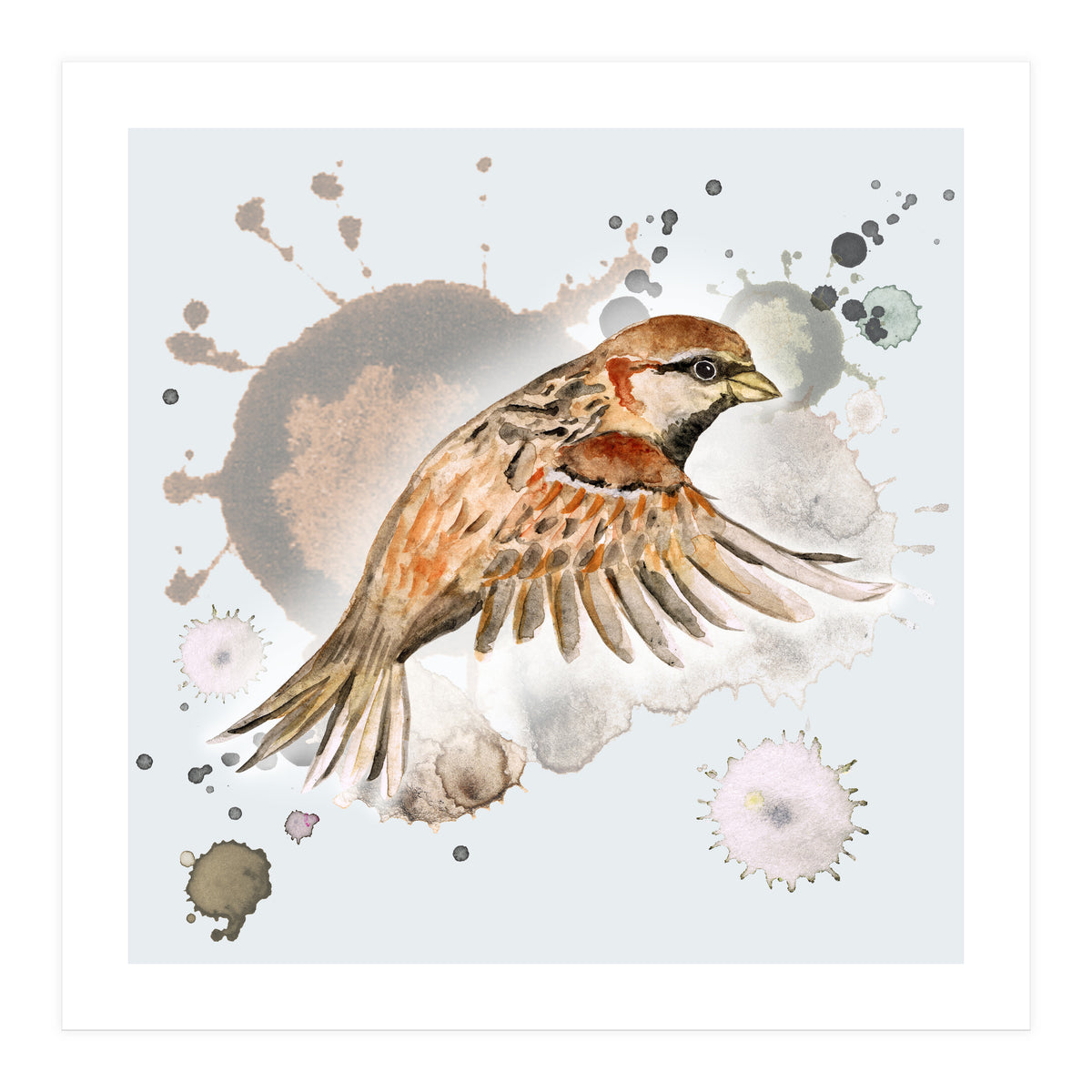 Flying sparrow (Print Only)
