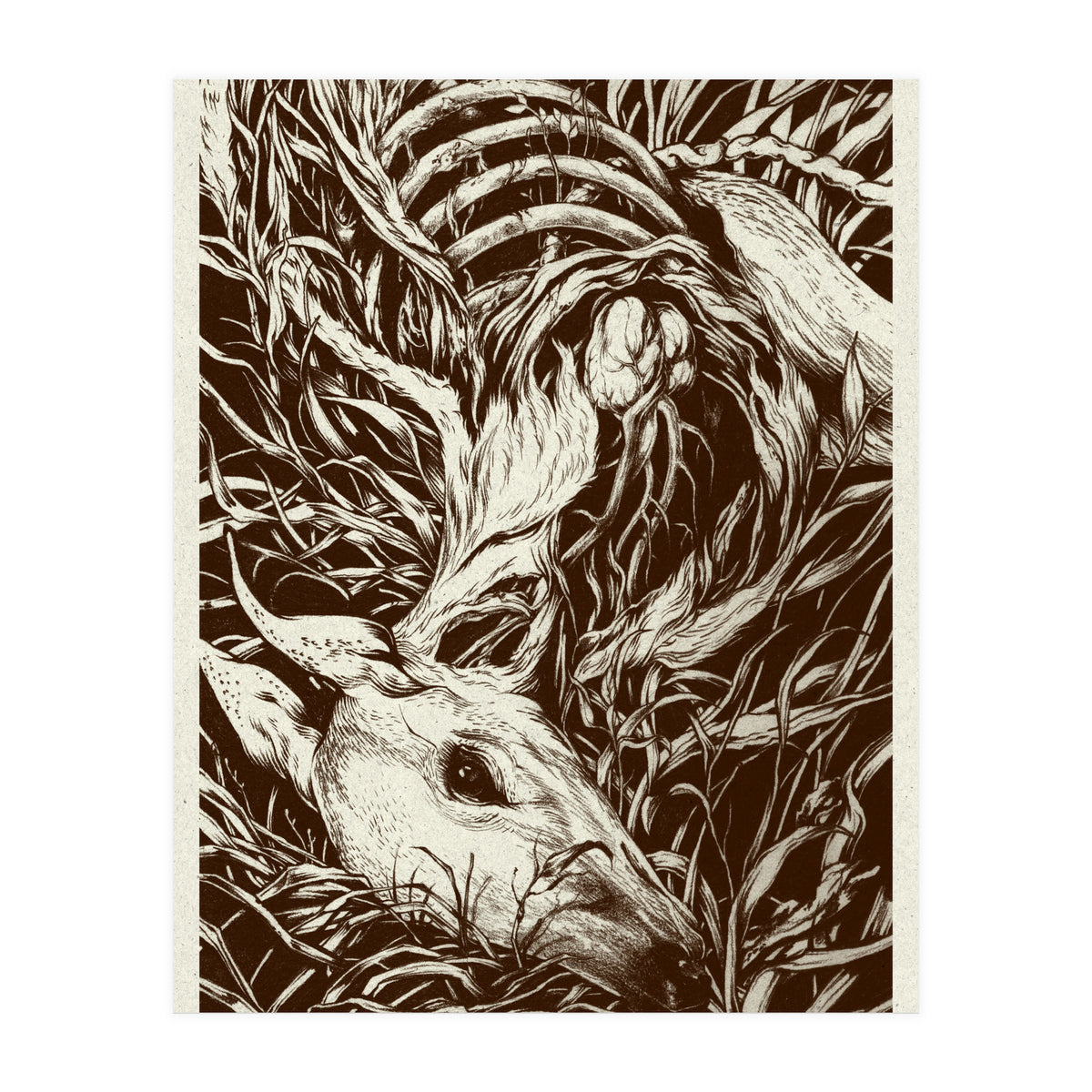 Doeeyed (Print Only)