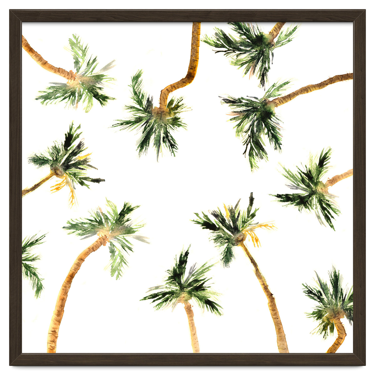 Under the coconut palms || watercolor