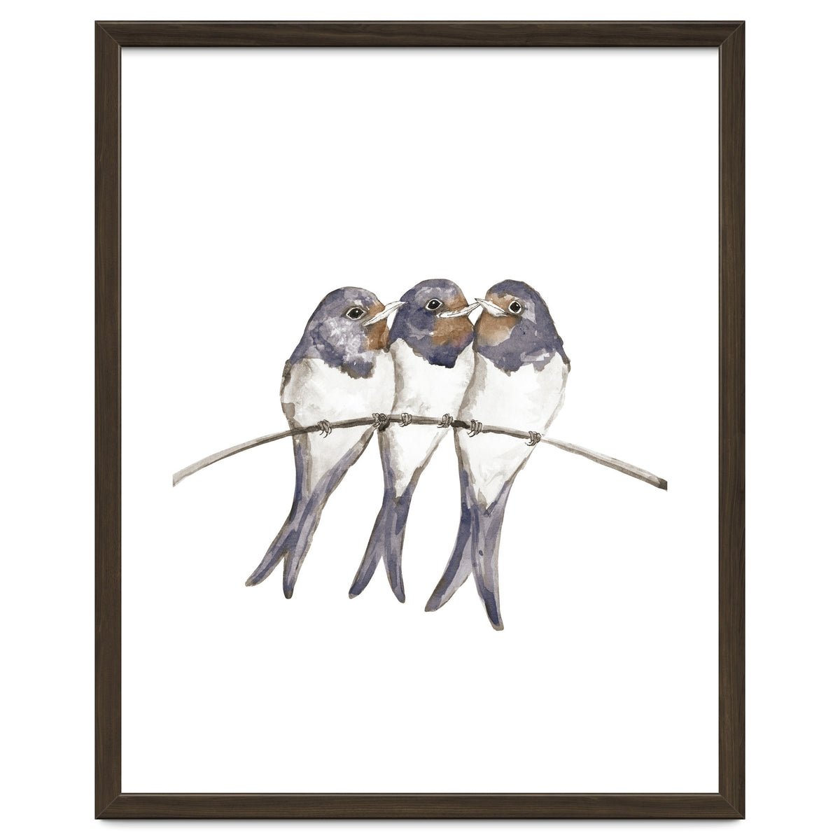 Three young swallows