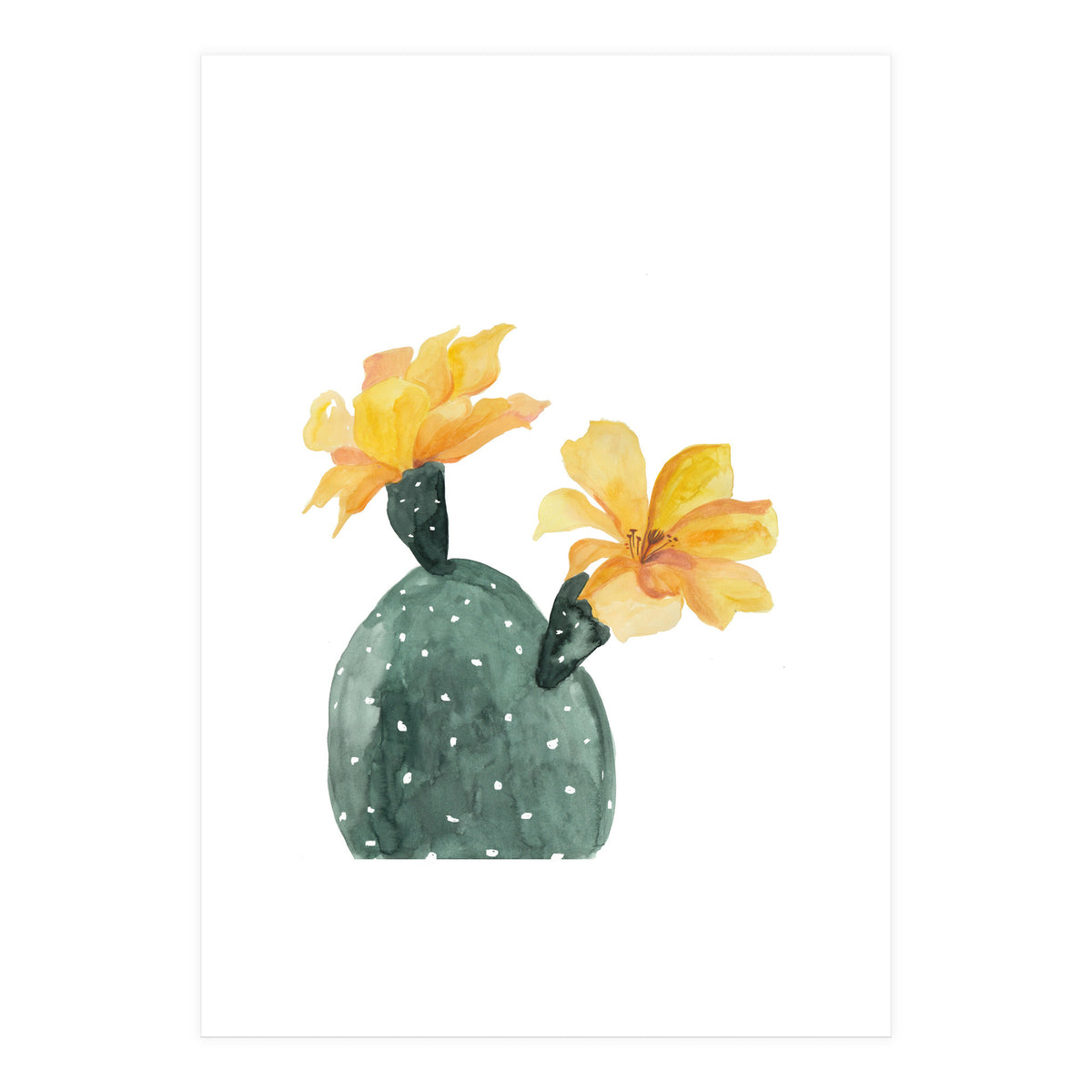 Botanical Illustration Yellow Cactus Flowers (Print Only)
