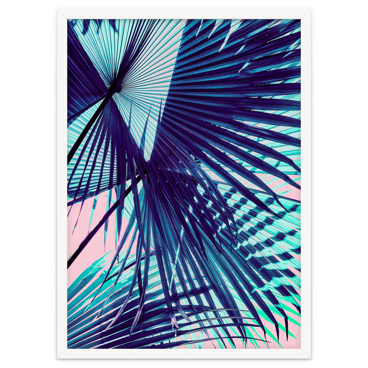 Palm leaf on the beach