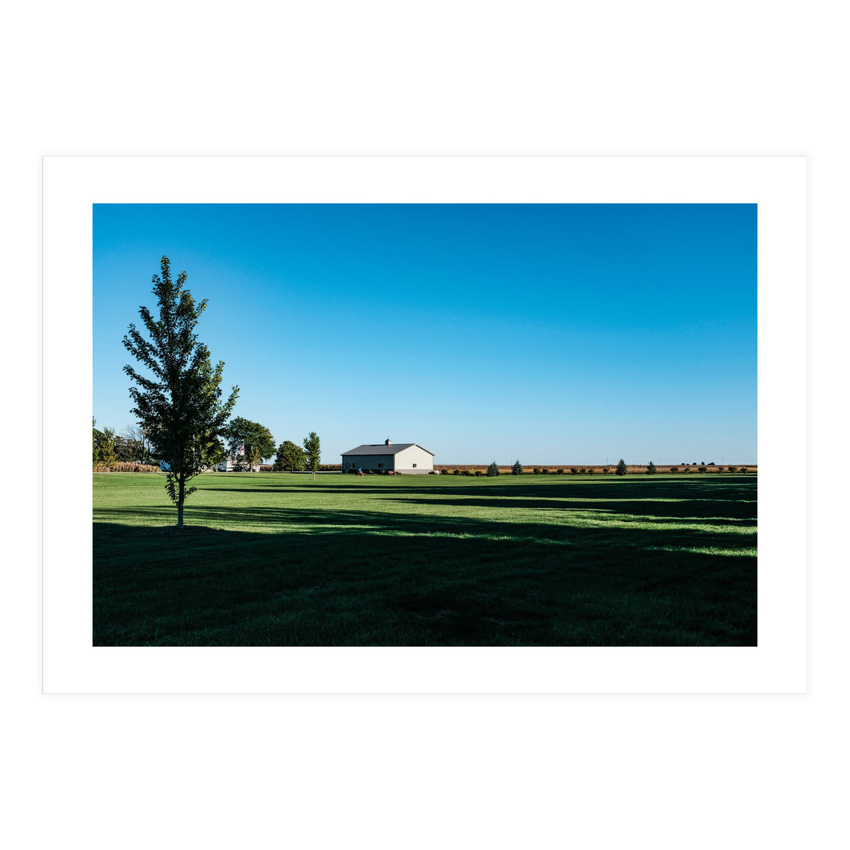 Summer evening, rural Illinois (Print Only)