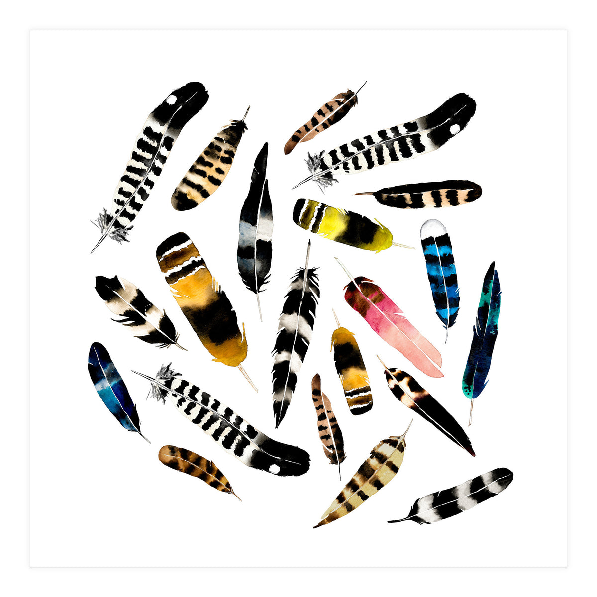 Feather Fusion  (Print Only)