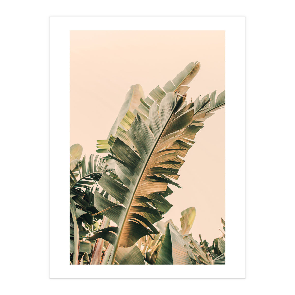 Growing Green Alicia Bock (Print Only)