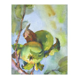 Apples on a branch (Print Only) thumbnail