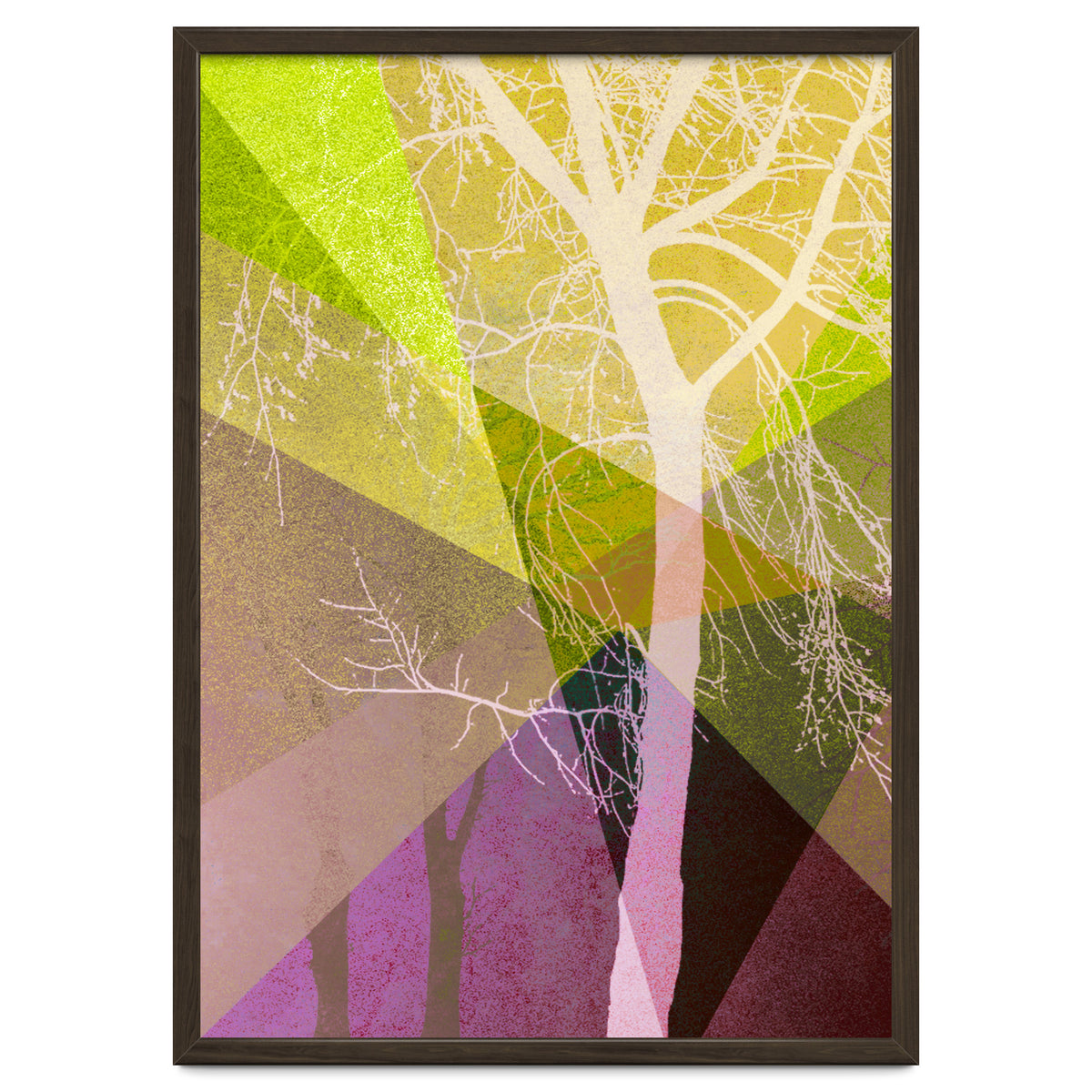 P22 A Trees And Triangles