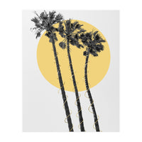 Palm Trees in the sun  (Print Only)