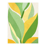Sunshine Flora (Print Only) thumbnail