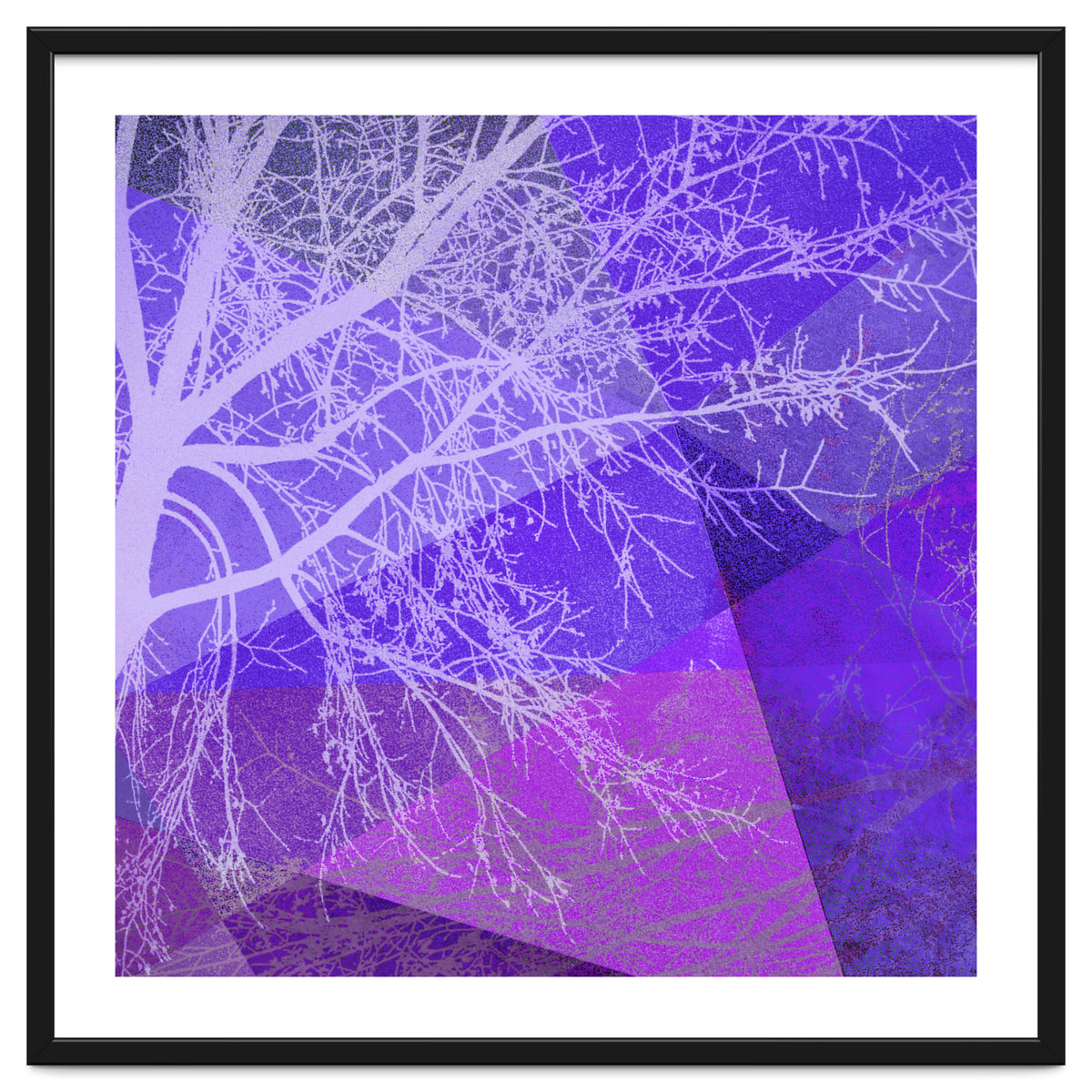 P19-D2 Trees and Triangles