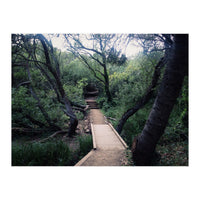 Glen Canyon Park (Print Only)