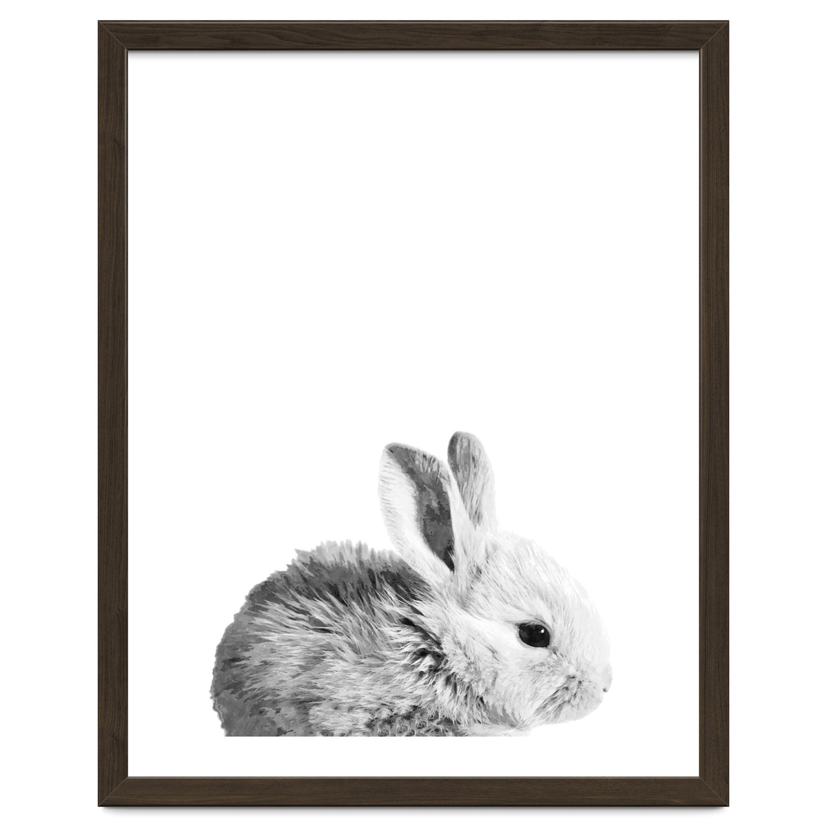 Black and White Bunny Portrait