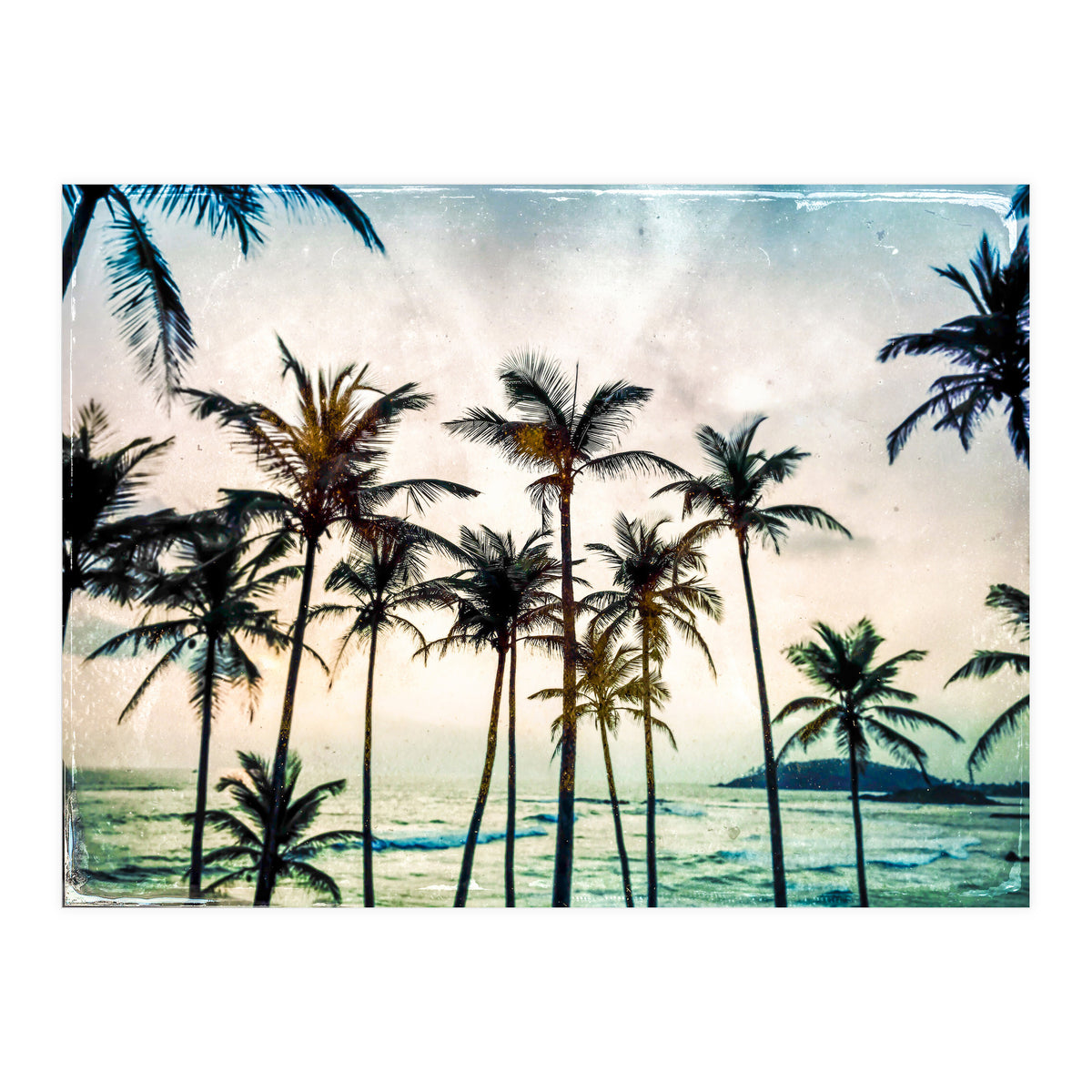No Palm Trees (Print Only)