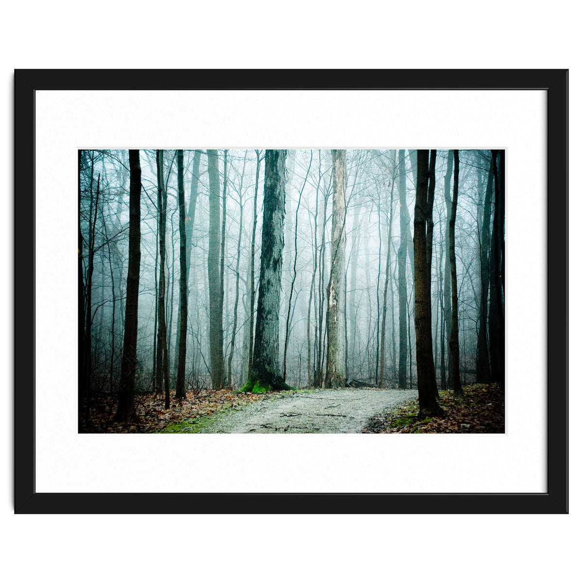 Gather Up Your Dreams