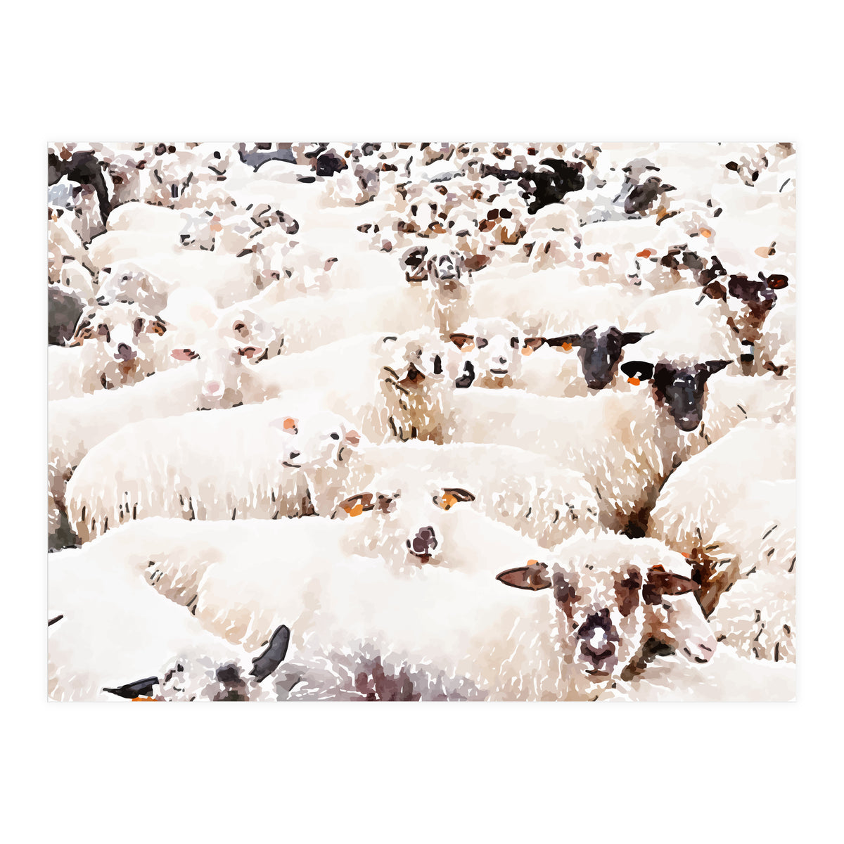 The Herd (Print Only)