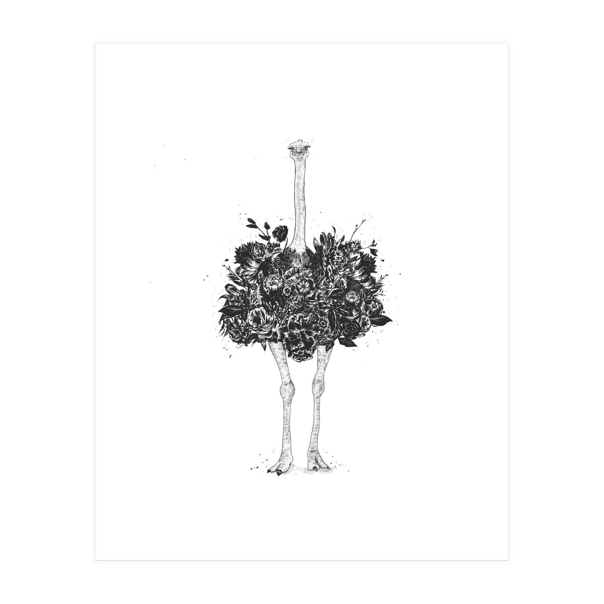 Floral Ostrich (Print Only)