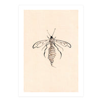 Wasp (Print Only)