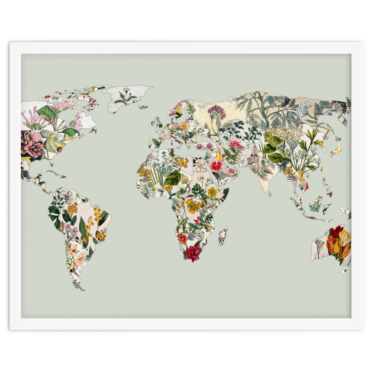 Vintage Botanical Map - Green