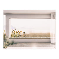 GRASS BY THE WINDOW (Print Only)