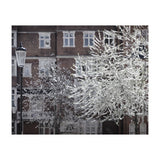 Chelsea Spring  (Print Only) thumbnail