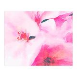 Kairos (Print Only) thumbnail