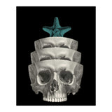 teschio (Print Only) thumbnail