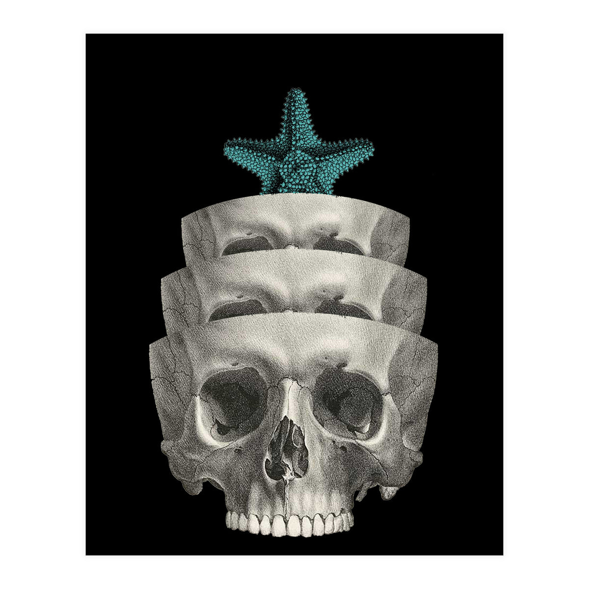 teschio (Print Only)