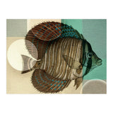 Fish Between Circles 4 (Print Only) thumbnail