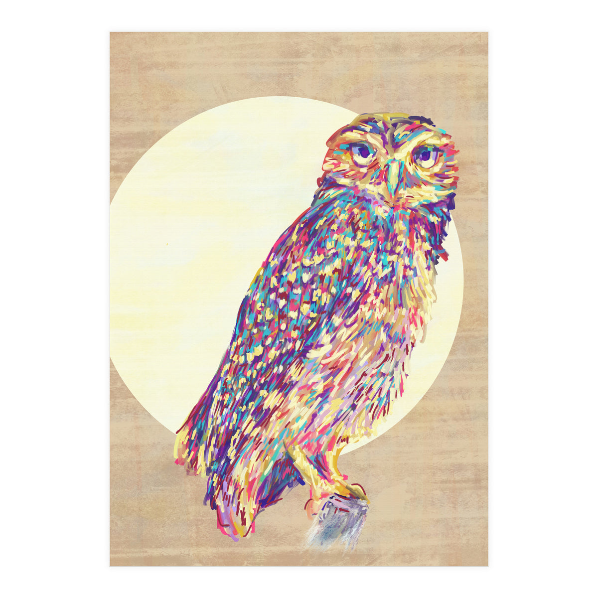 Owl (Print Only)