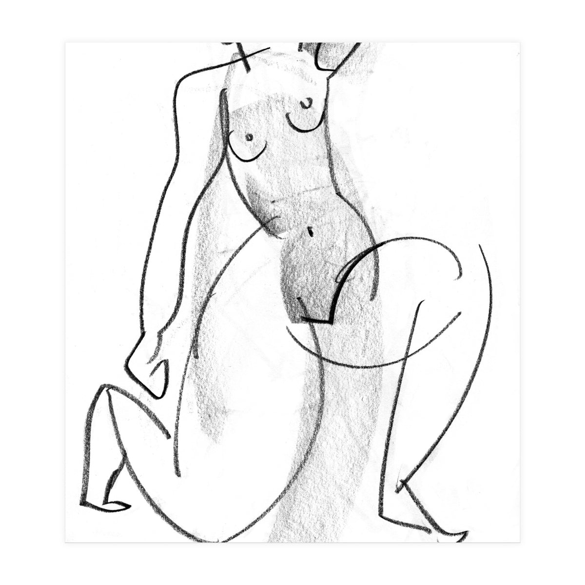 Assertion (Print Only)