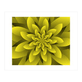 Spring Floral (Print Only) thumbnail