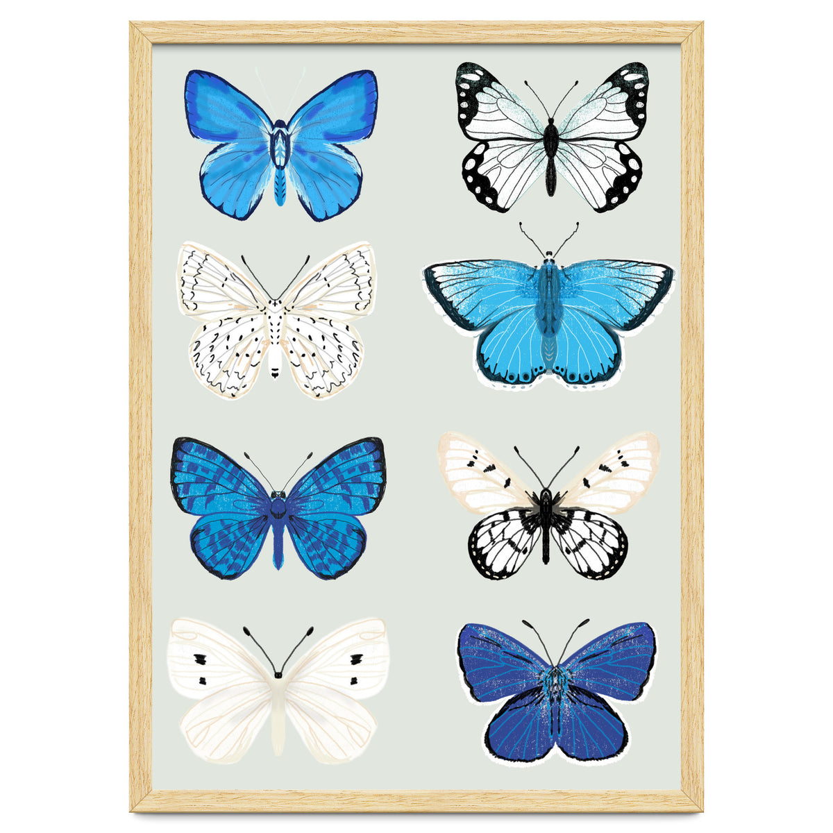 Lepidoptery Study No. 3