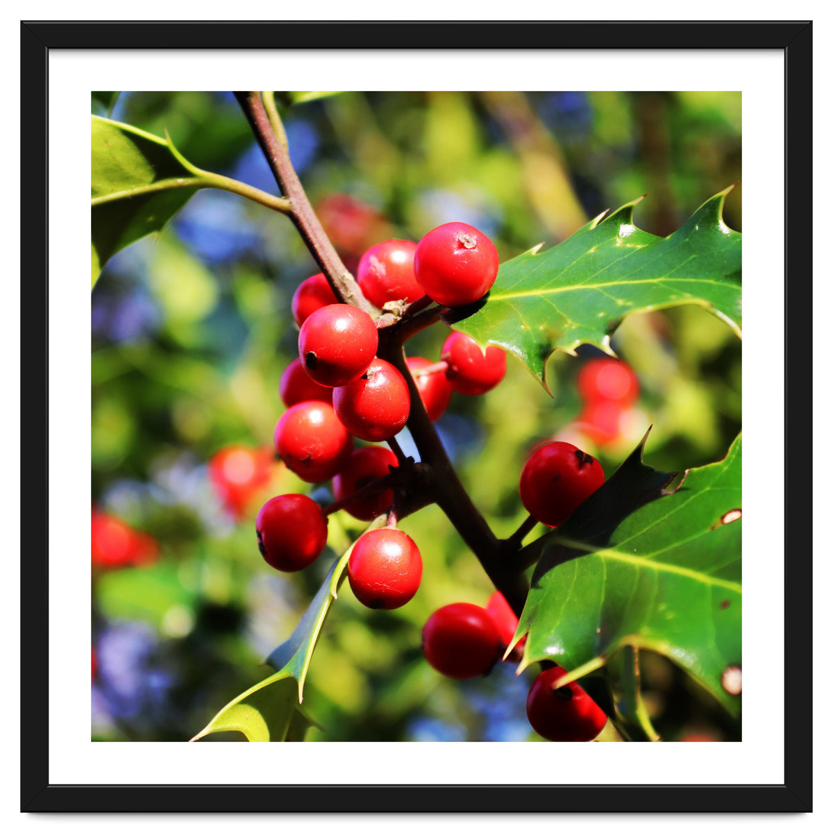 Fab454 Da 548 B 4252 8566 Cb9 Ccef07 Bda