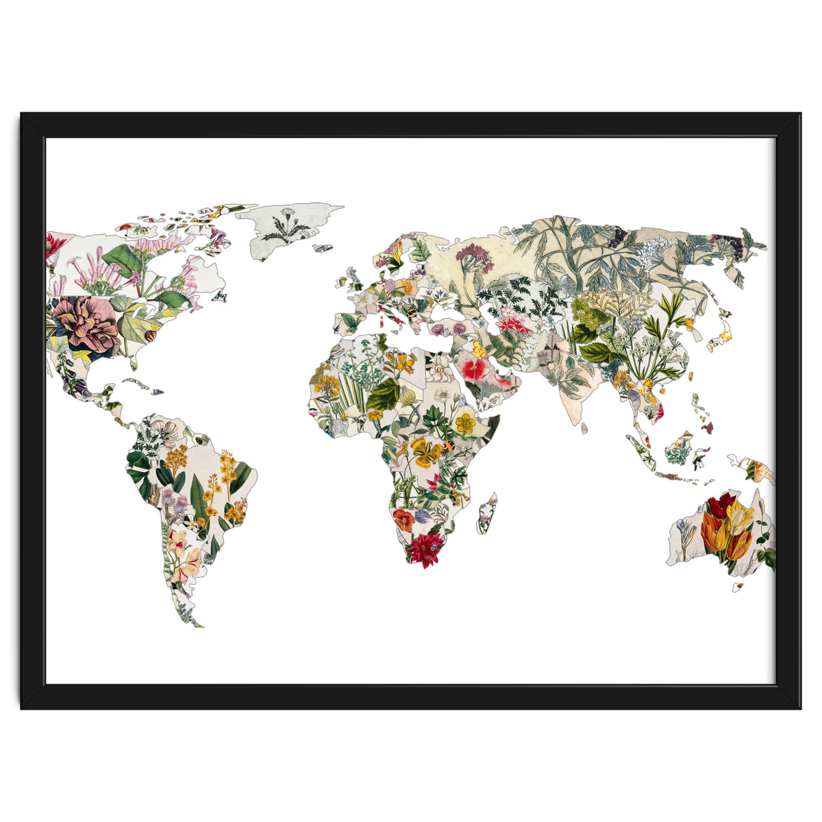 Vintage Botanical Map