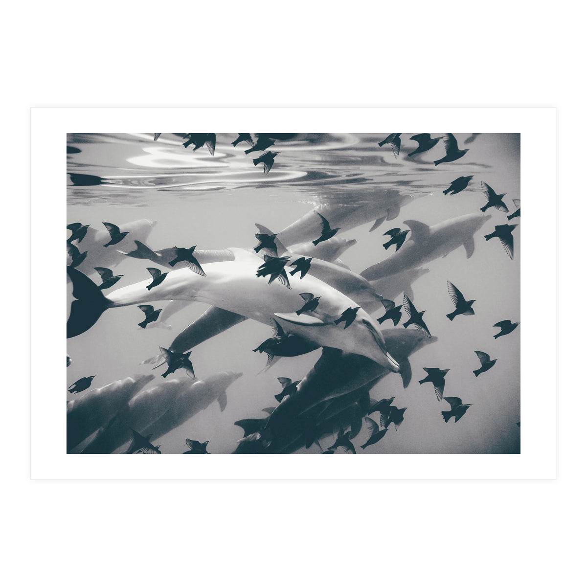 Found Out (Print Only)