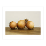 Onions (Print Only) thumbnail