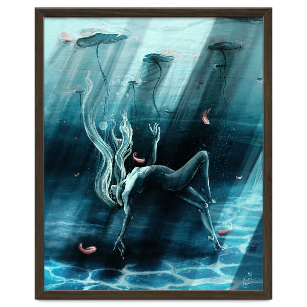 Dance of the Waterlily