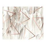 Feathers & Copper (Print Only) thumbnail