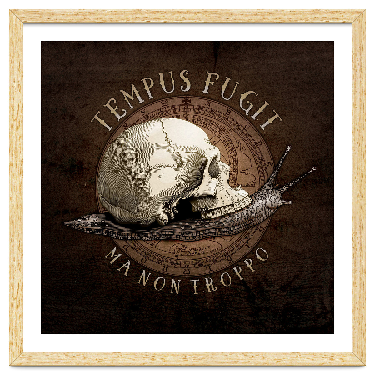 Tempus Fugit (ma non troppo)