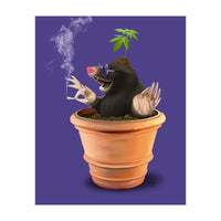 Pot (Colour) (Print Only)