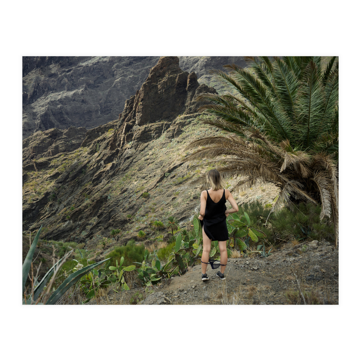 Pirates' Hideout (Print Only)