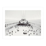 Oculus (Print Only) thumbnail