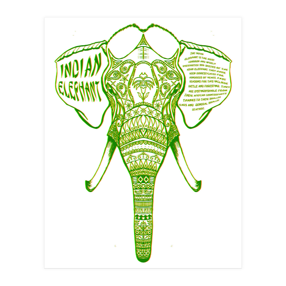 Indian Elephant (Print Only)