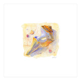 Old Shell (Print Only) thumbnail