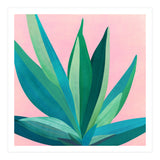 Southwest Agave (Print Only) thumbnail