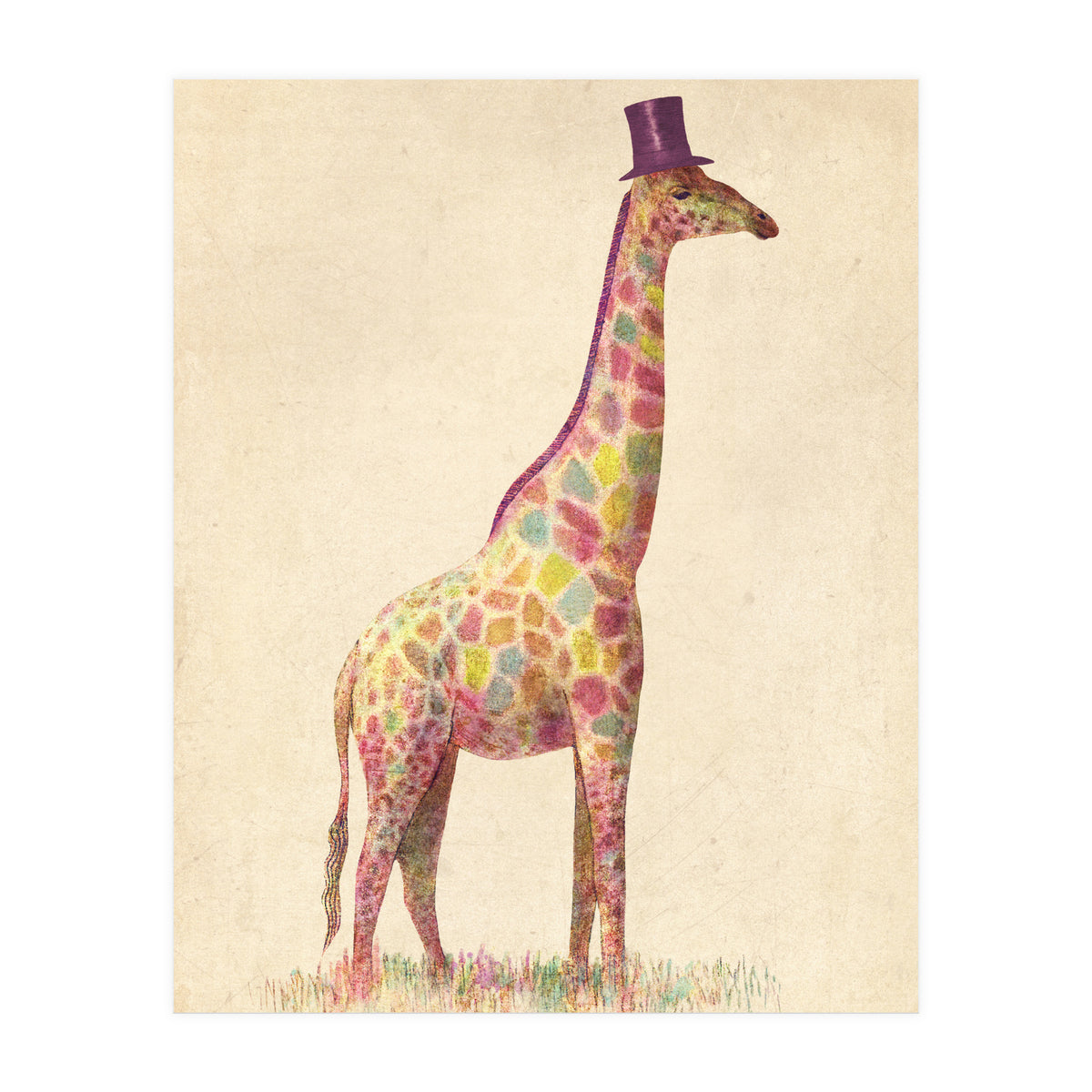Fashionable Giraffe (Print Only)