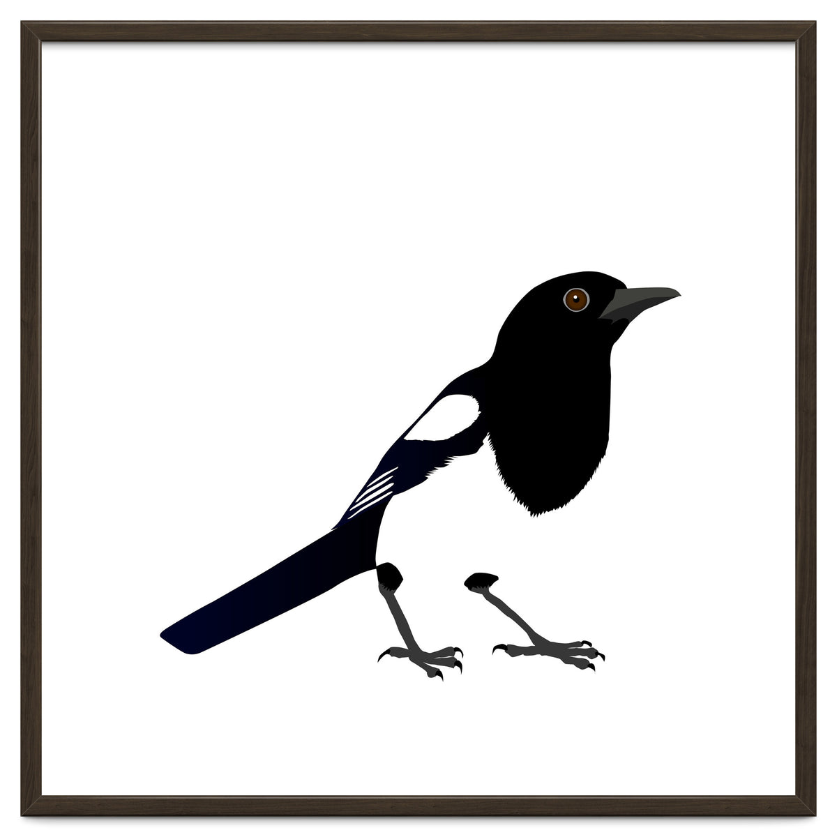 Magpie