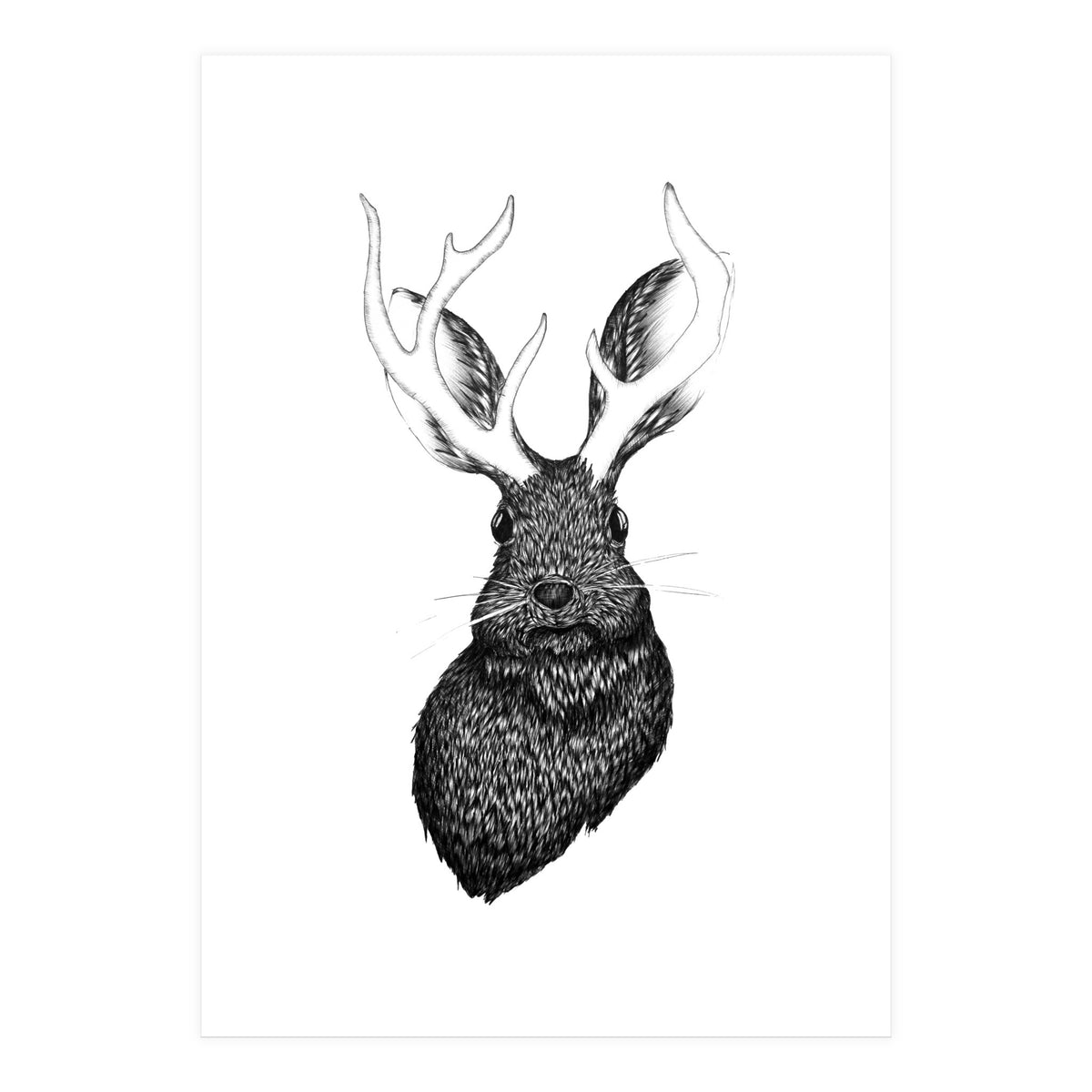 Jackalope  (Print Only)