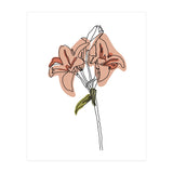 Lily (Print Only) thumbnail