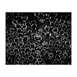 Bubbles (Print Only) thumbnail